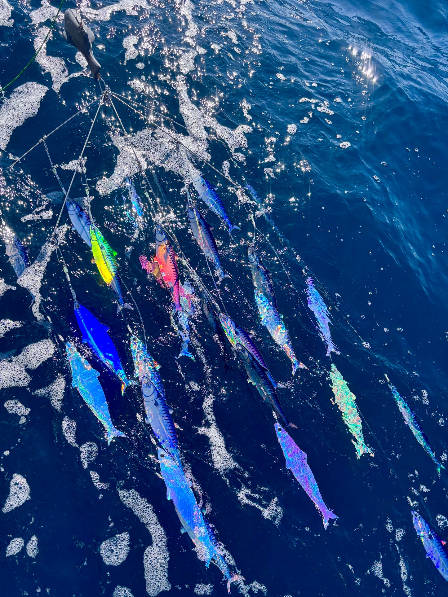 4-arm Dredge Teaser - Blue Mackerel