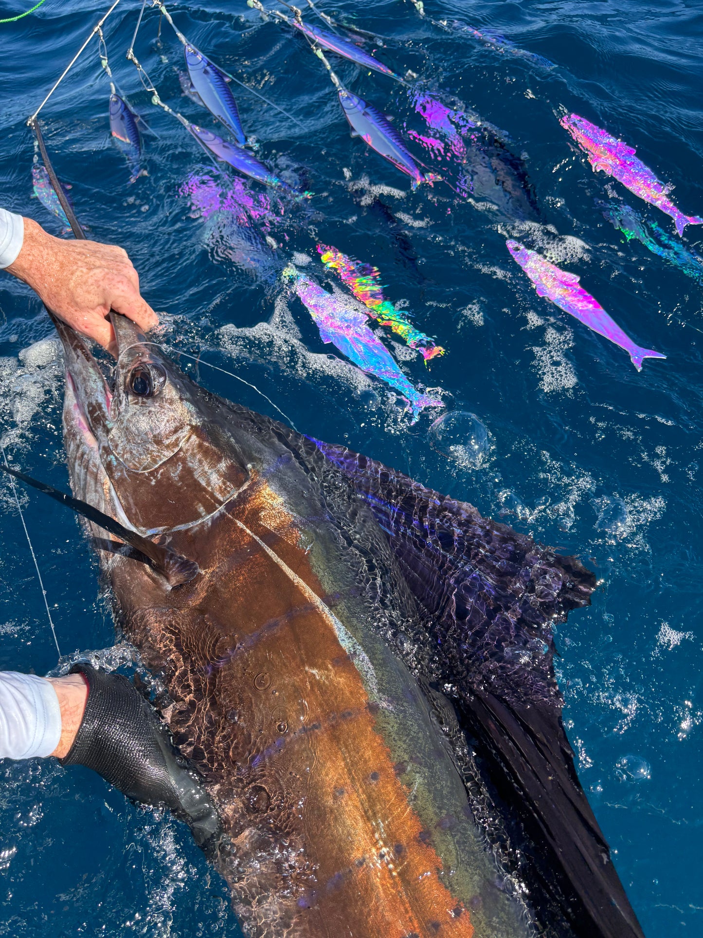 6-arm Dredge Teaser - Blue Mackerel