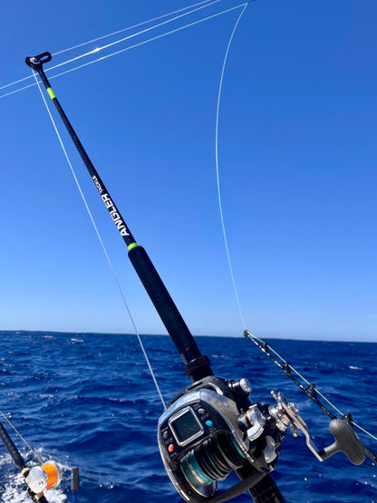 Carbon Teaser Rod